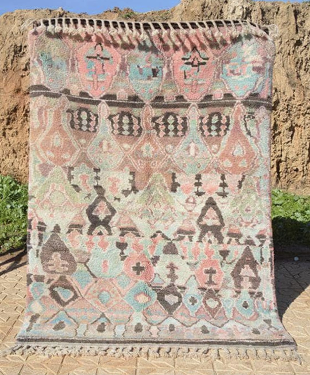 Alexandria Area Rug