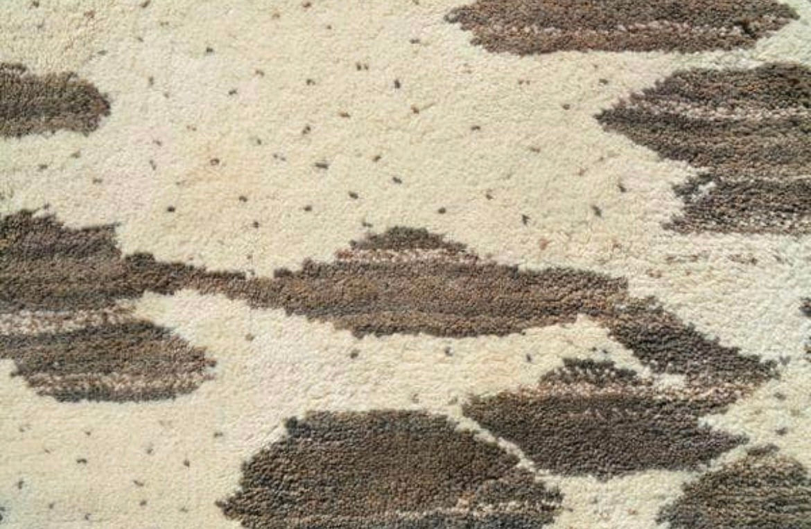 Suez Area Rug